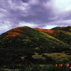 WELCOME  to the Adventures of Hailey